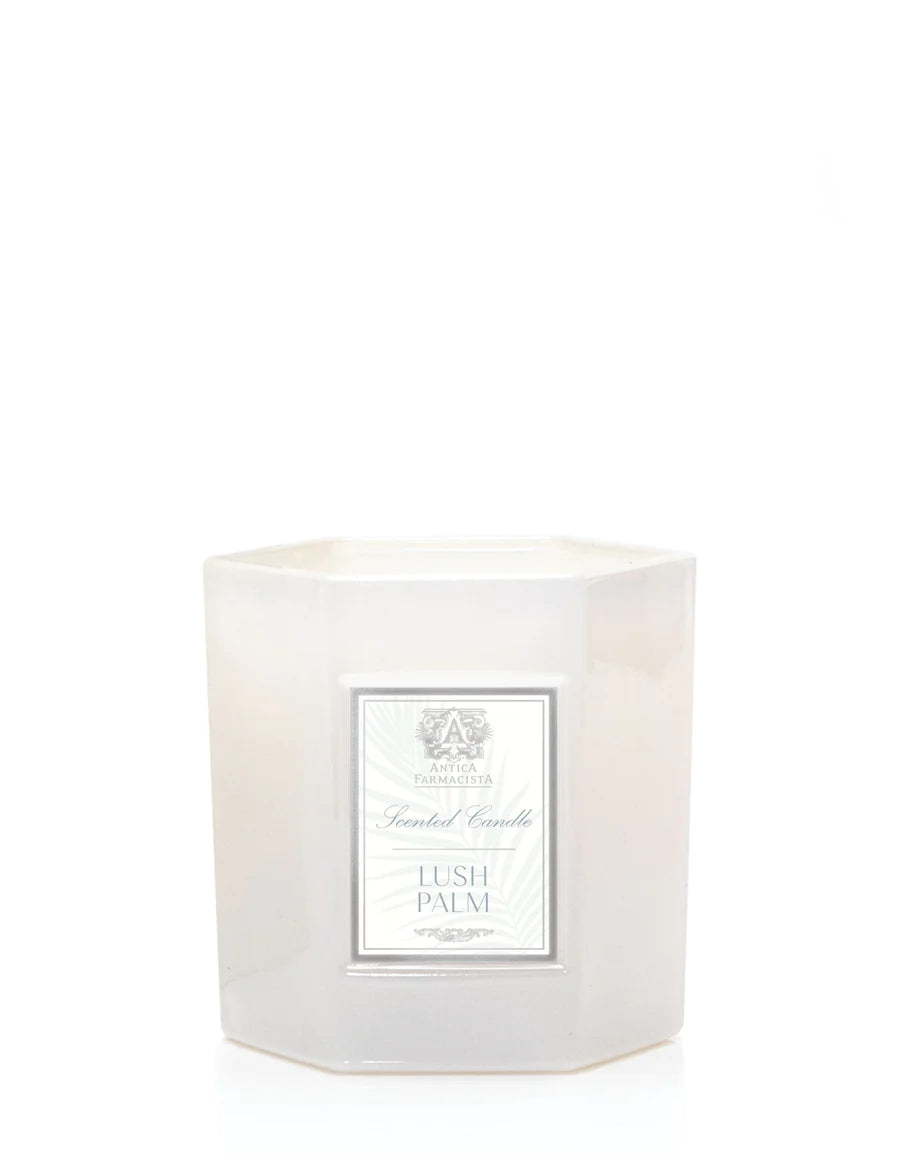 Antica-Lush Palm Candle