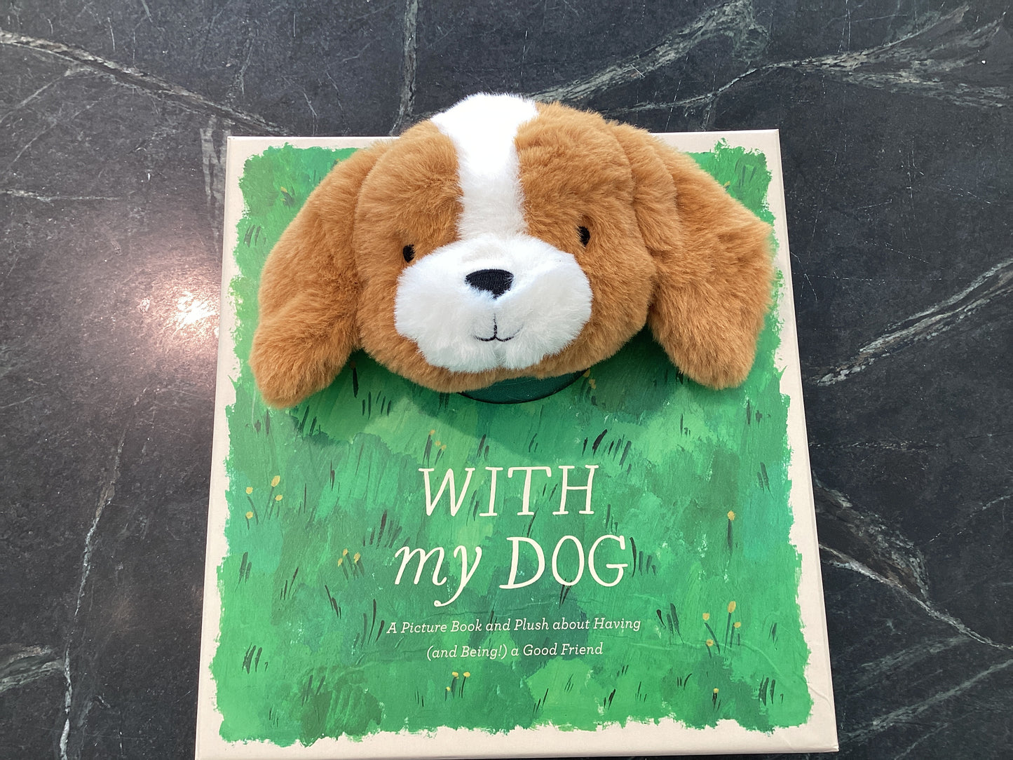 Compendium-With my Dog
