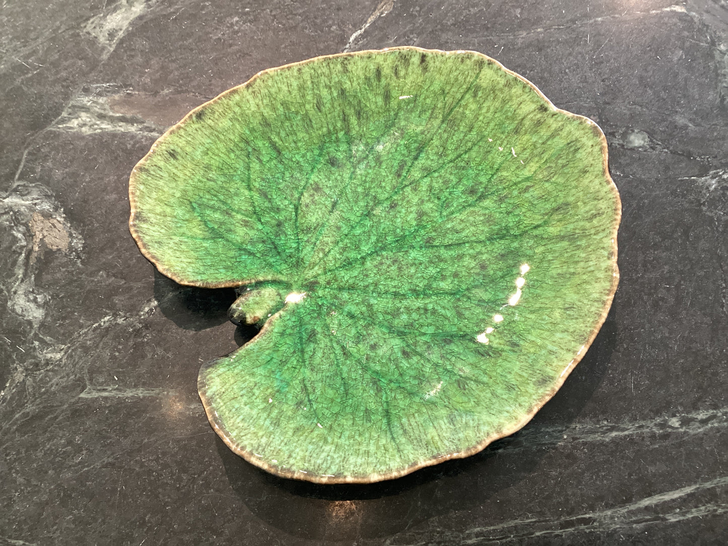 Costa Nova-Alchemille leaf plate 7” vep181