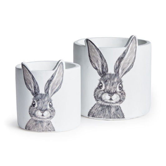 Napa-Flopsy bunny pot