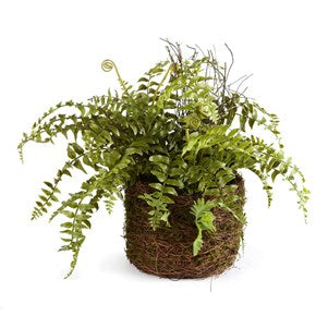Napa-BOSTON FERN RUSTIC DROP-IN 12"